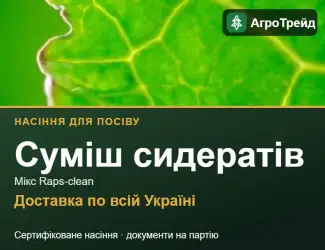 Зображення для оголошення Суміш сидератів Мікс Raps-clean — насіння