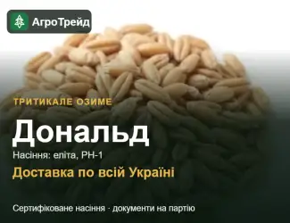 Зображення для оголошення Тритикале озиме Дональд — насіння