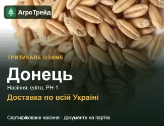 Зображення для оголошення Тритикале озиме Донець — насіння