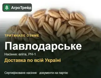 Зображення для оголошення Тритикале озиме Павлодарське