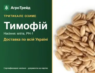 Зображення для оголошення Купити насіння озимого тритикале Тимофій