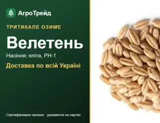 Зображення для оголошення Тритикале озиме Велетень