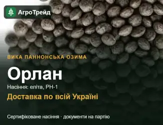 Зображення для оголошення Орлан — вика паннонська озима, насіння