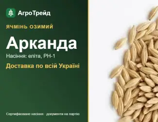 Зображення для оголошення Насіння озимого ячменю Арканда