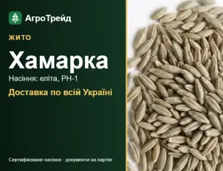 Зображення для оголошення Продам насіння жита Хамарка