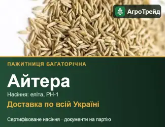 Зображення для оголошення Пажитниця багаторічна Айтера