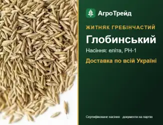 Зображення для оголошення Глобинський — житняк гребінчастий, насіння