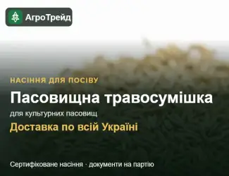 Зображення для оголошення Пасовищна травосумішка для культурних пасовищ