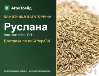 Зображення для оголошення Руслана — пажитниця багаторічна, насіння