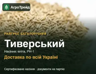 Зображення для оголошення Купити насіння райграсу багаторічного Тиверський