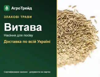 Зображення для оголошення Купити насіння злакових трав Витава
