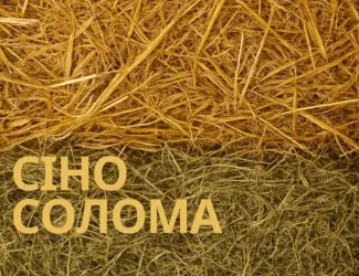 СОЛОМА, СІНО + Доставка