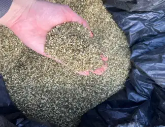 Махорка. Середня міцність, для гільз