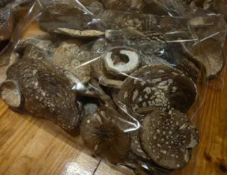 Продам пантерні мухомори