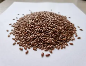 Продаж коричневого ЛЬОНУ, Харківська область