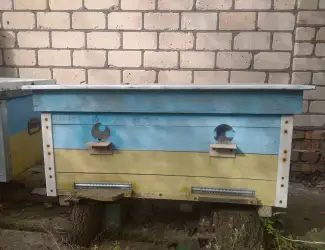 Вулики, продаж