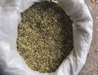 Махорка(Власного вирощування)