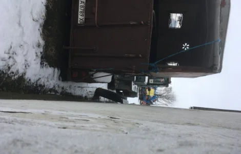 Причіп для перевезення коней ПР D-10