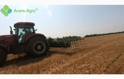 Штригельна борона с дисками GREEN RAY 6, 5 М WTD