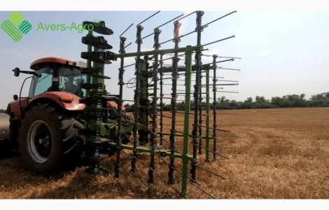 GREEN RAY 6, 5 М WTD борона пружинная с дисками