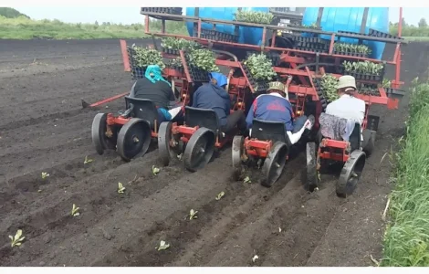 Машина рассадо-посадочная универсальная МРП (для помидоров, капусты, перца, огурцов)