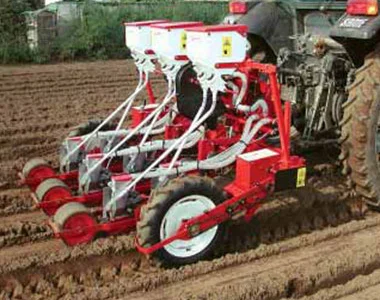 Картофель без дрота