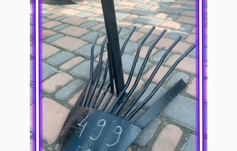 Продам картоплекопалку лапа Делфін