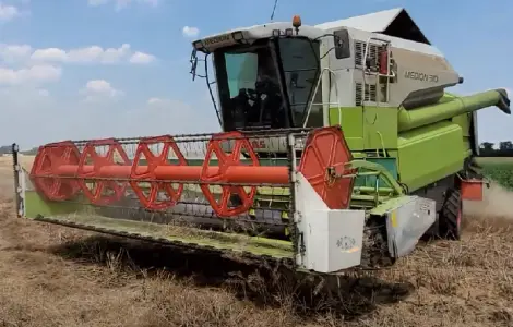 Ріпаковий стіл