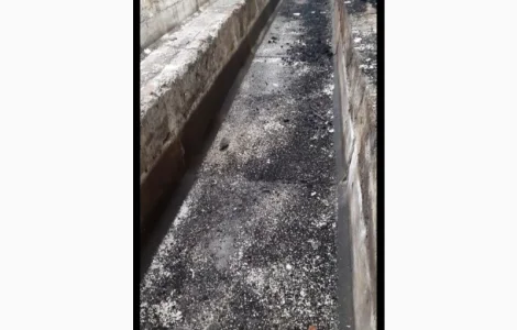 Здам в оренду ферми, склади с. Покровське, Решетилівський р-н