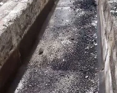 Фермы, склады сдам в долгосрочную аренду