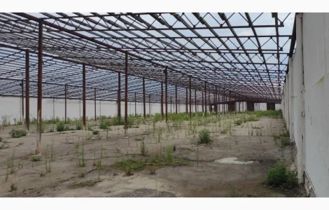 Ангар тип армянка 44м на 120м площею 5760м.кв.(без місця)