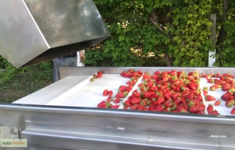 Барботажная моечная машина для мойки овощей и ягод