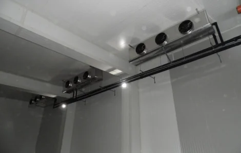 Холодильна камера для зберігання фруктів