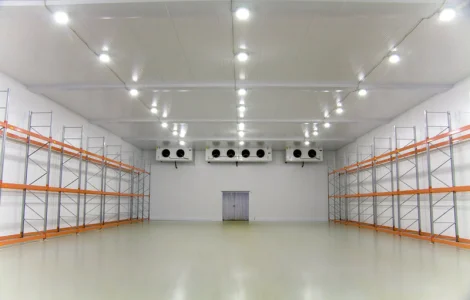 Камера для охлаждения и хранения голубики