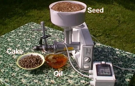 Маслопрессы (Швеция)