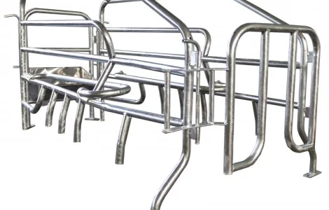 Станки для опороса свиноматок