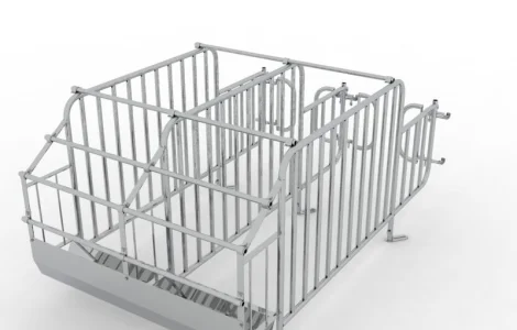 Станок для запліднення свиноматок, обладнання для свиней, свині, свинарство