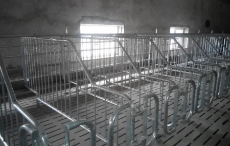 Станки для осеменения