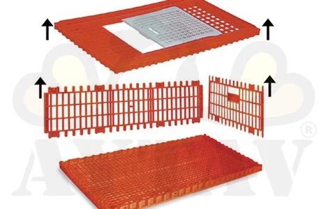 Ящики для перевозки птицы на паллете (ящик совмещенный с паллетом)