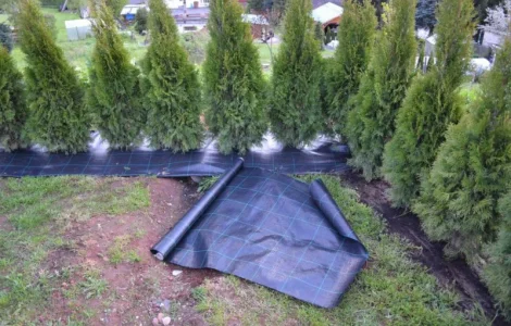Агроволокно