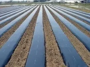 Первинна мульчуюча плівка виробник Туреччина
