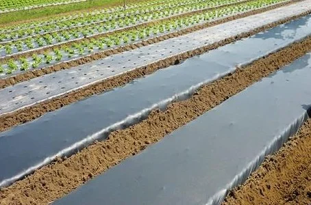 Вторинна мульчуюча плівка виробник Туреччина