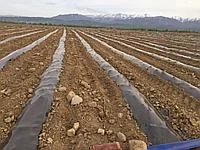 Мульчуюча плівка чорна Vatan Plastik