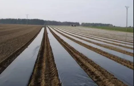 Плівка мульчуюча вторинна/первинна Vatan Plastik