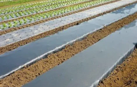Плівка для мульчування без перфорації в асортименті Vatan Plastik