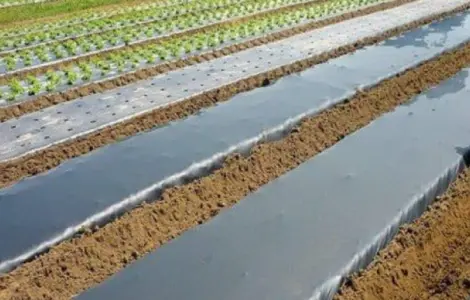 Плівка для мульчування без перфорації в асортименті Vatan Plastik