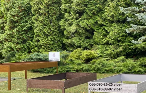 Цветные грядки для огорода