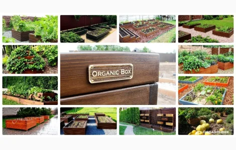 Современные высокие грядки, декоративный огород фото, от производителя. Киев Украина