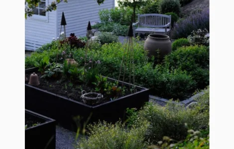 Деоративна грядка, клумба, вітник, газончик