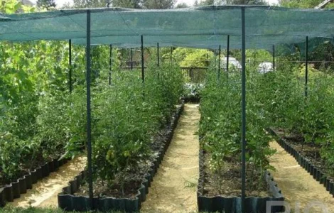 Сетка затеняющая Karatzis зеленая (4х50) 50%